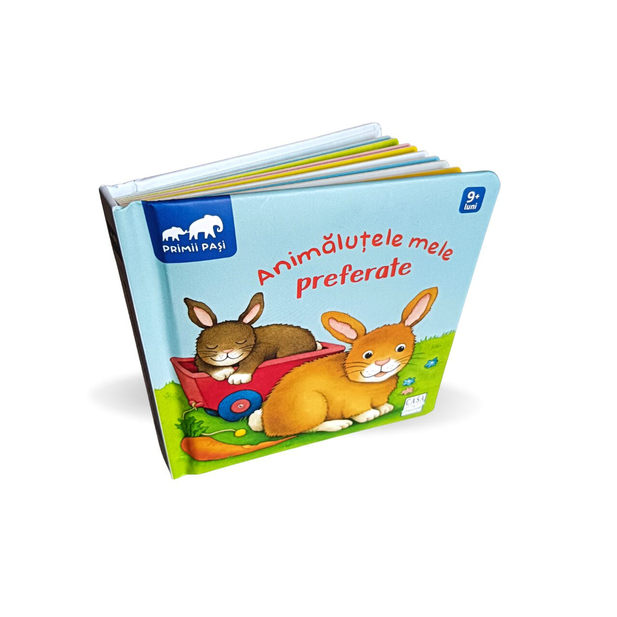 Animăluțele mele preferate - Primii Pași