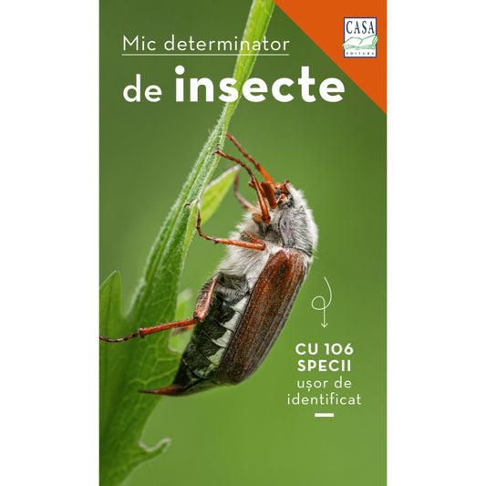 Mic determinator de insecte