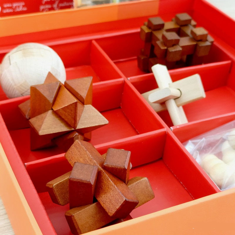 Woodix jocuri logice din lemn Djeco