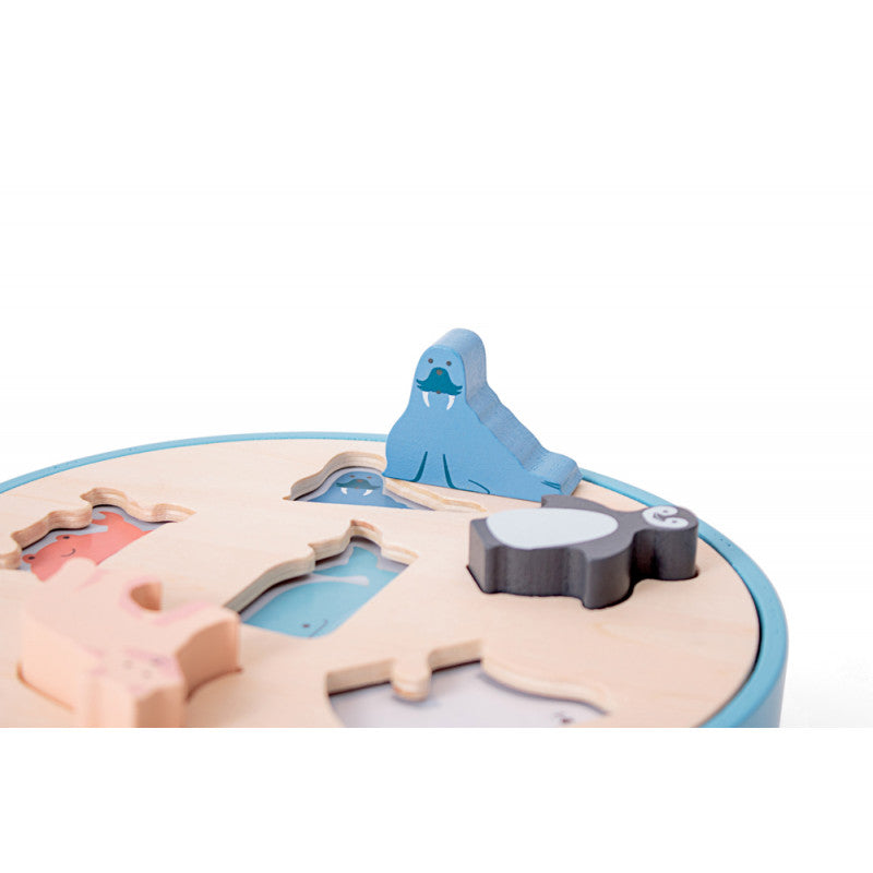 Sortǎtor de forme Animale Arctice, BS Toys