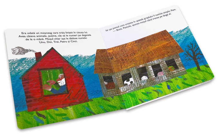 Ninsoarea din vis de Eric Carle