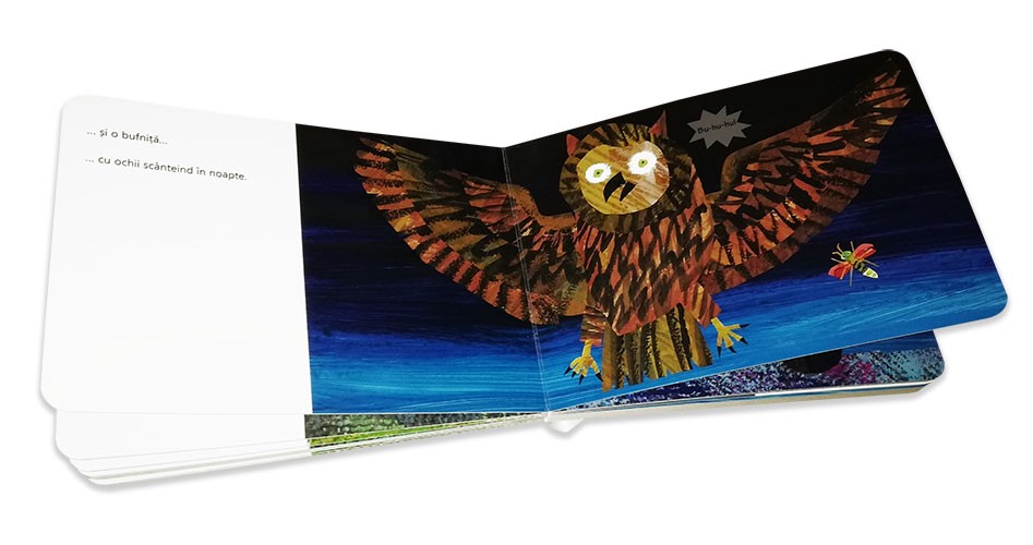Licurici își caută amici - Eric Carle
