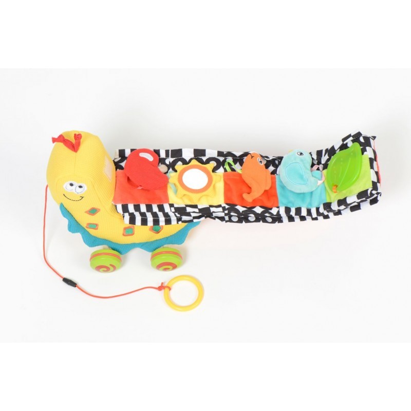 Jucarie de tras interactiva Melc cu activitati, Dolce