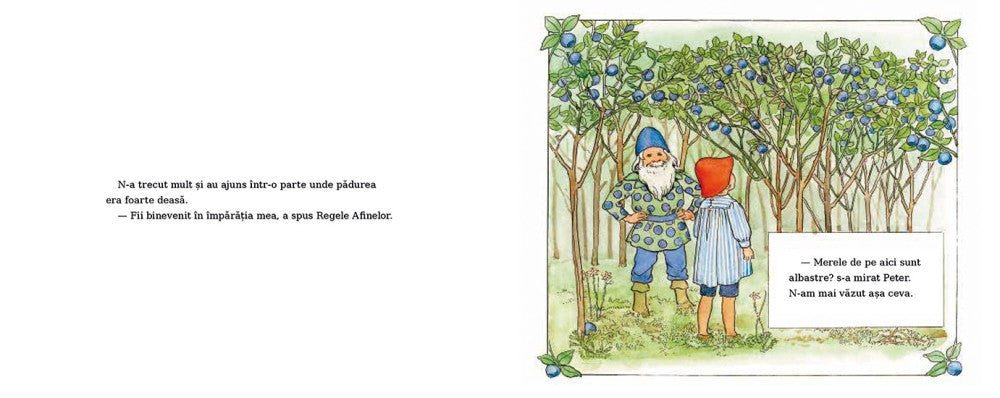 Aventurile lui Peter în Țara Afinelor
