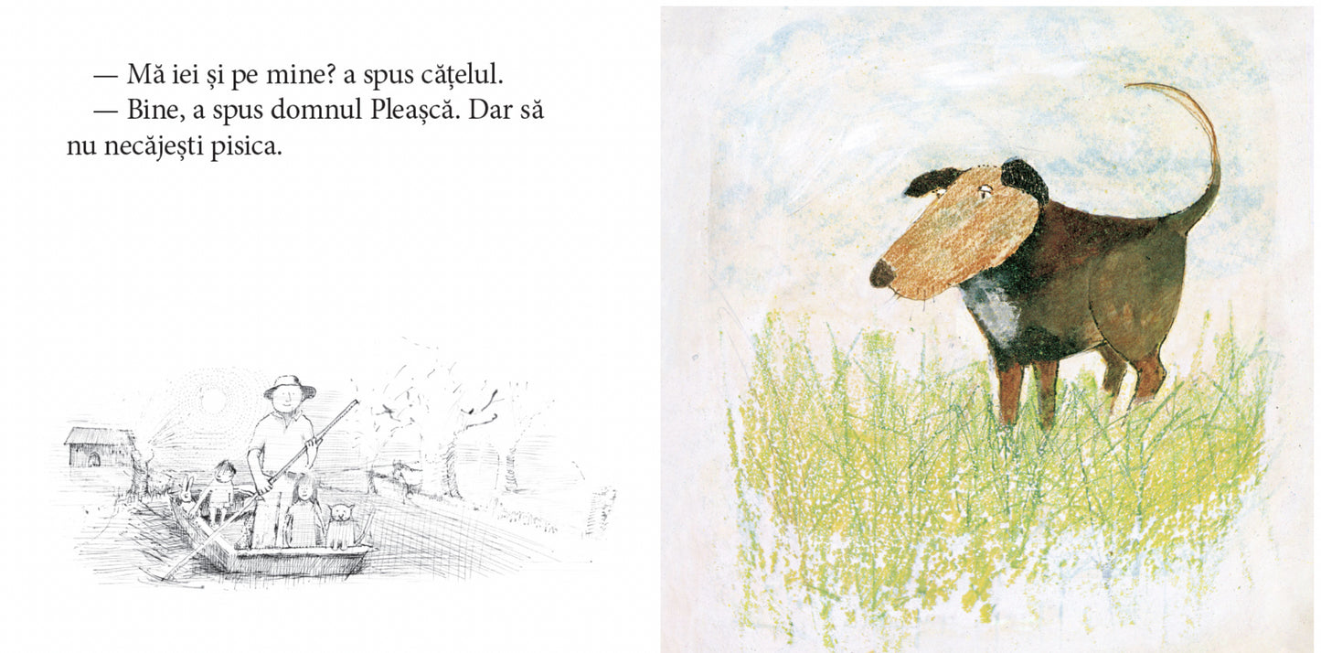 Plimbarea domnului Pleașcă