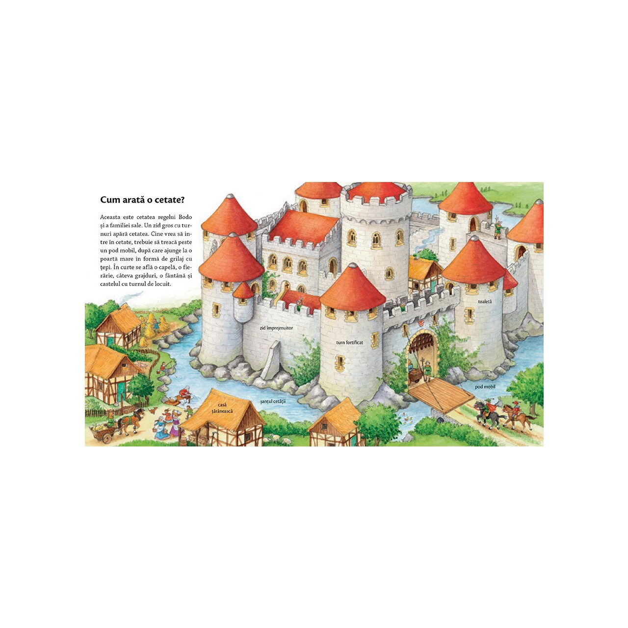 Castelul cavalerilor