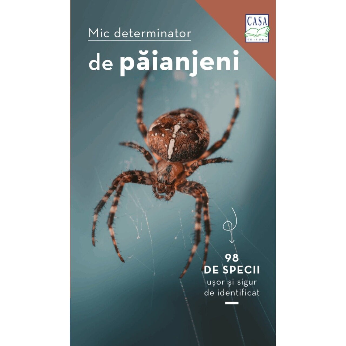 Mic determinator de păianjeni