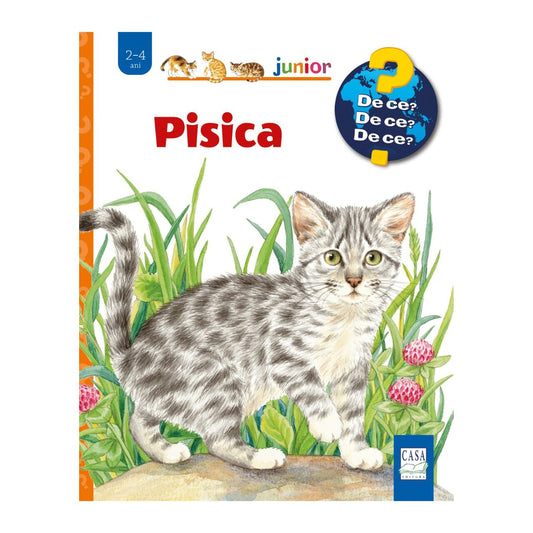 Pisica