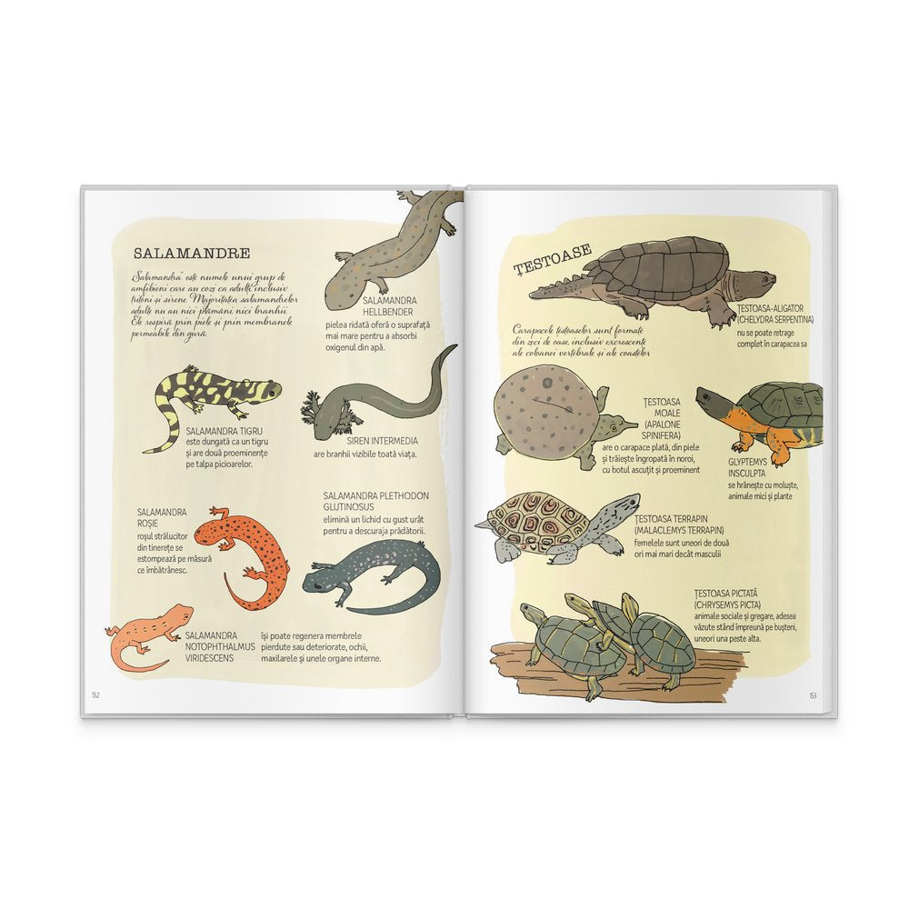 Anatomia naturii - Signatura