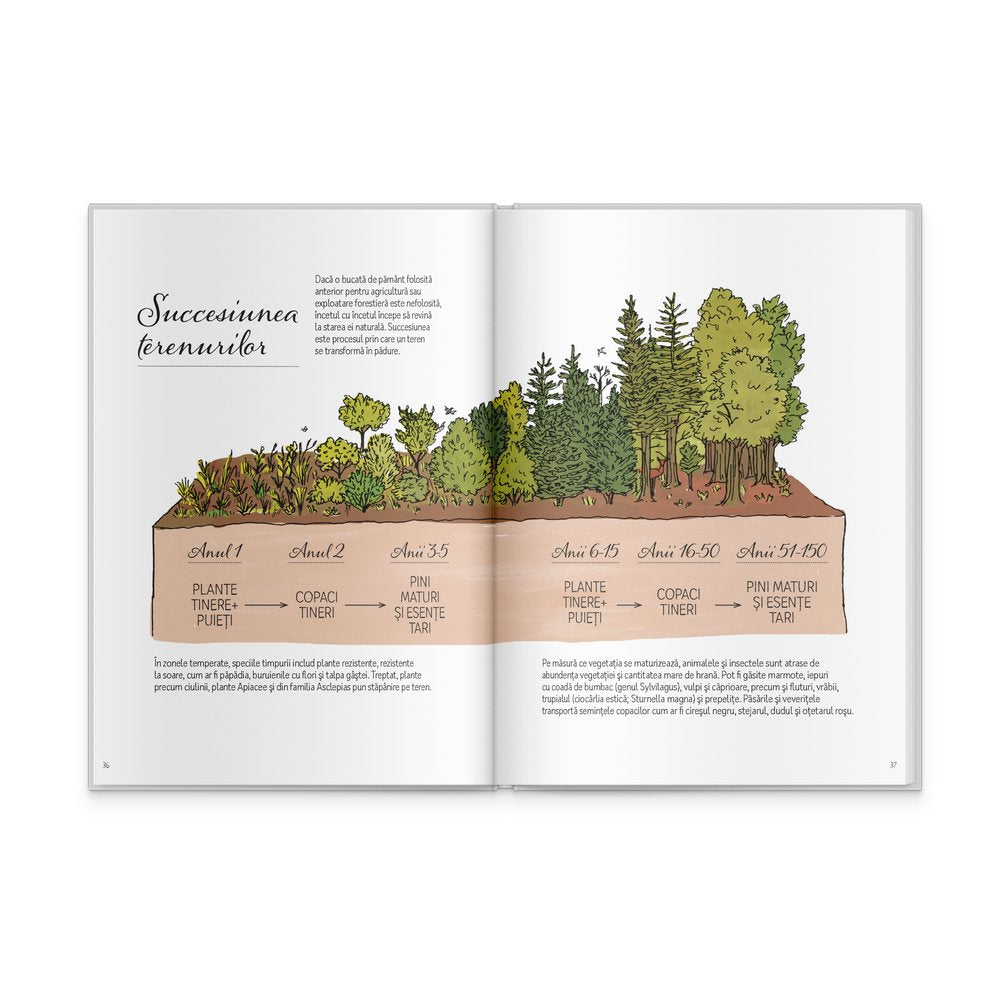 Anatomia naturii - Signatura