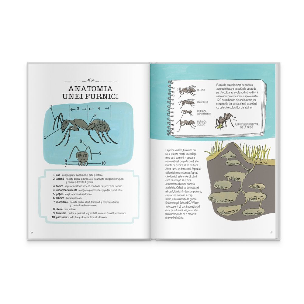 Anatomia naturii - Signatura
