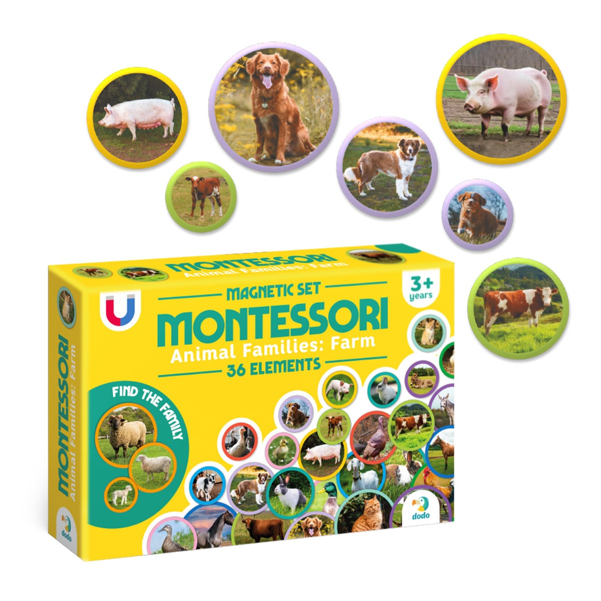Set magnetic Montessori, Familii de animale de la fermă - Dodo Toys