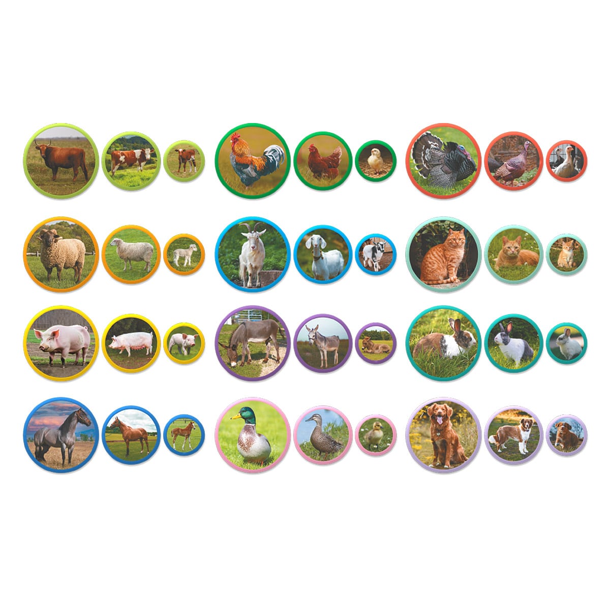 Set magnetic Montessori, Familii de animale de la fermă - Dodo Toys