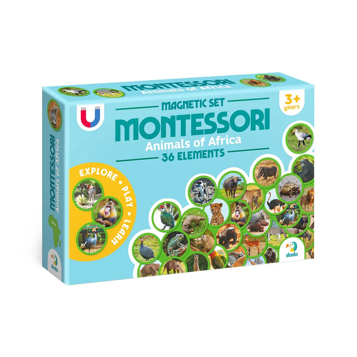 Set magnetic Montessori Animale din Africa – 36 magneți educativi - Dodo Toys