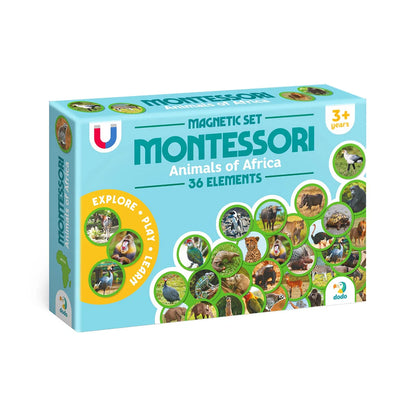 Set magnetic Montessori Animale din Africa – 36 magneți educativi - Dodo Toys