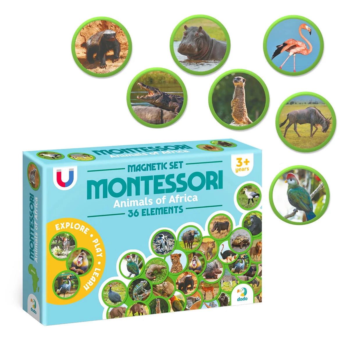 Set magnetic Montessori Animale din Africa – 36 magneți educativi - Dodo Toys