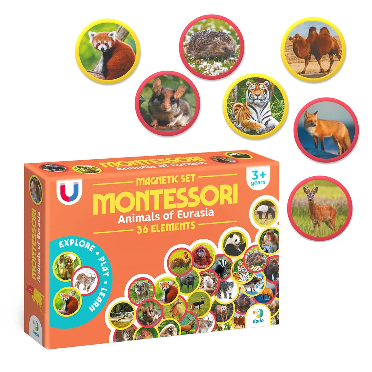 Set magnetic Montessori Animale din Eurasia – 36 magneți educativi - Dodo Toys