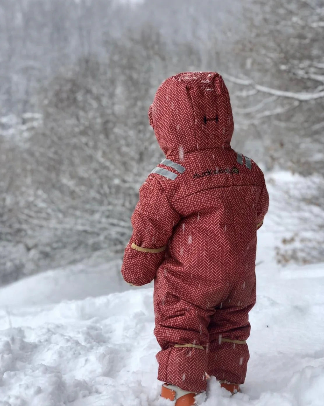 Snowsuit (costum de iarnă) Wick (baby) - DucKsday
