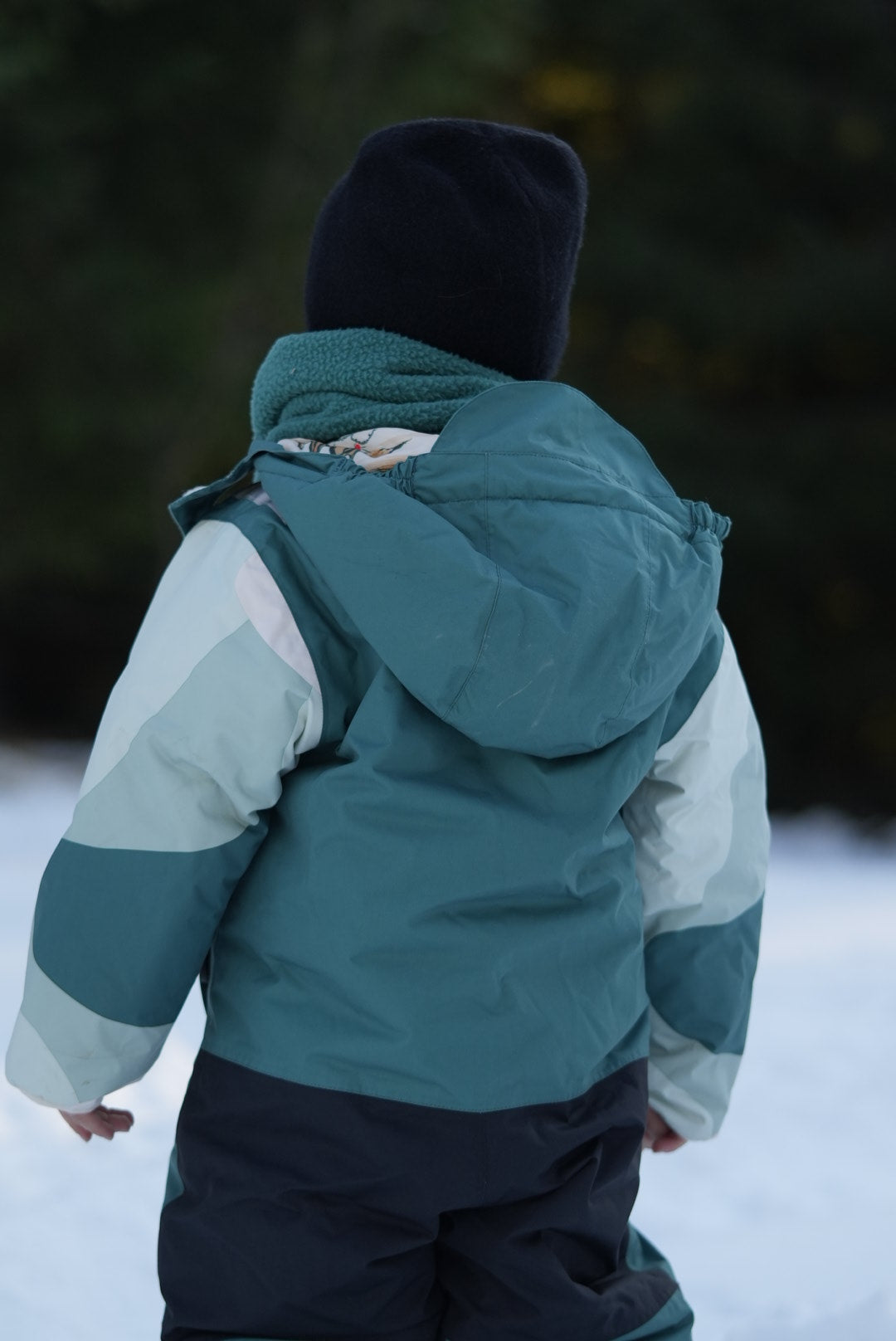 Snowsuit (costum de iarnă) Breeze (toddler) - DucKsday