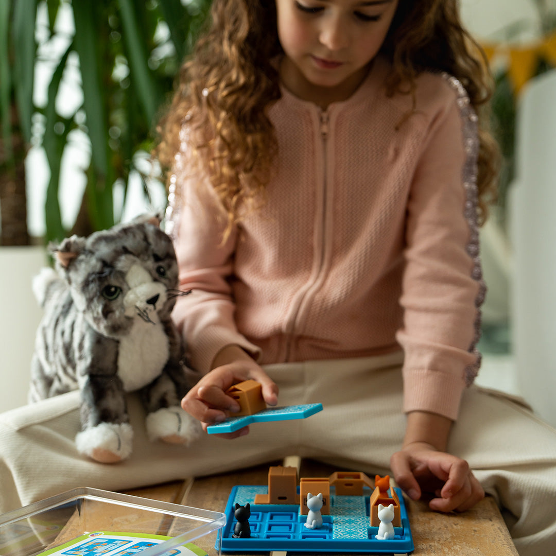 Cats and boxes - Smart Games