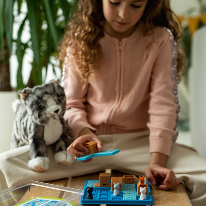 Cats and boxes - Smart Games