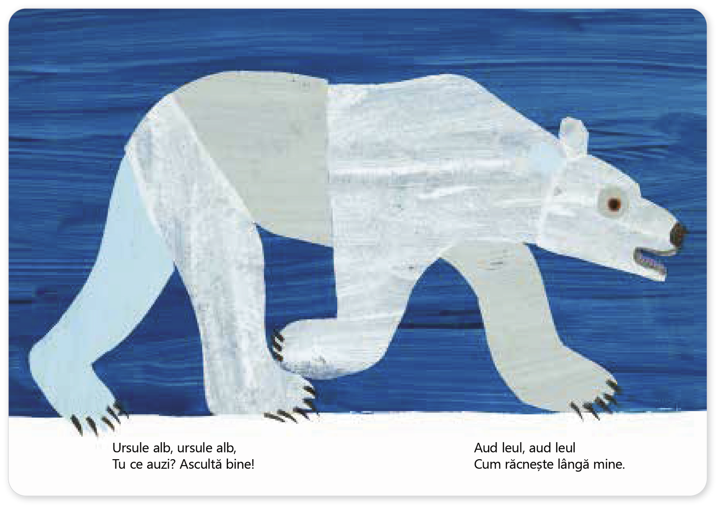 Ursule alb, ursule alb, tu ce auzi?