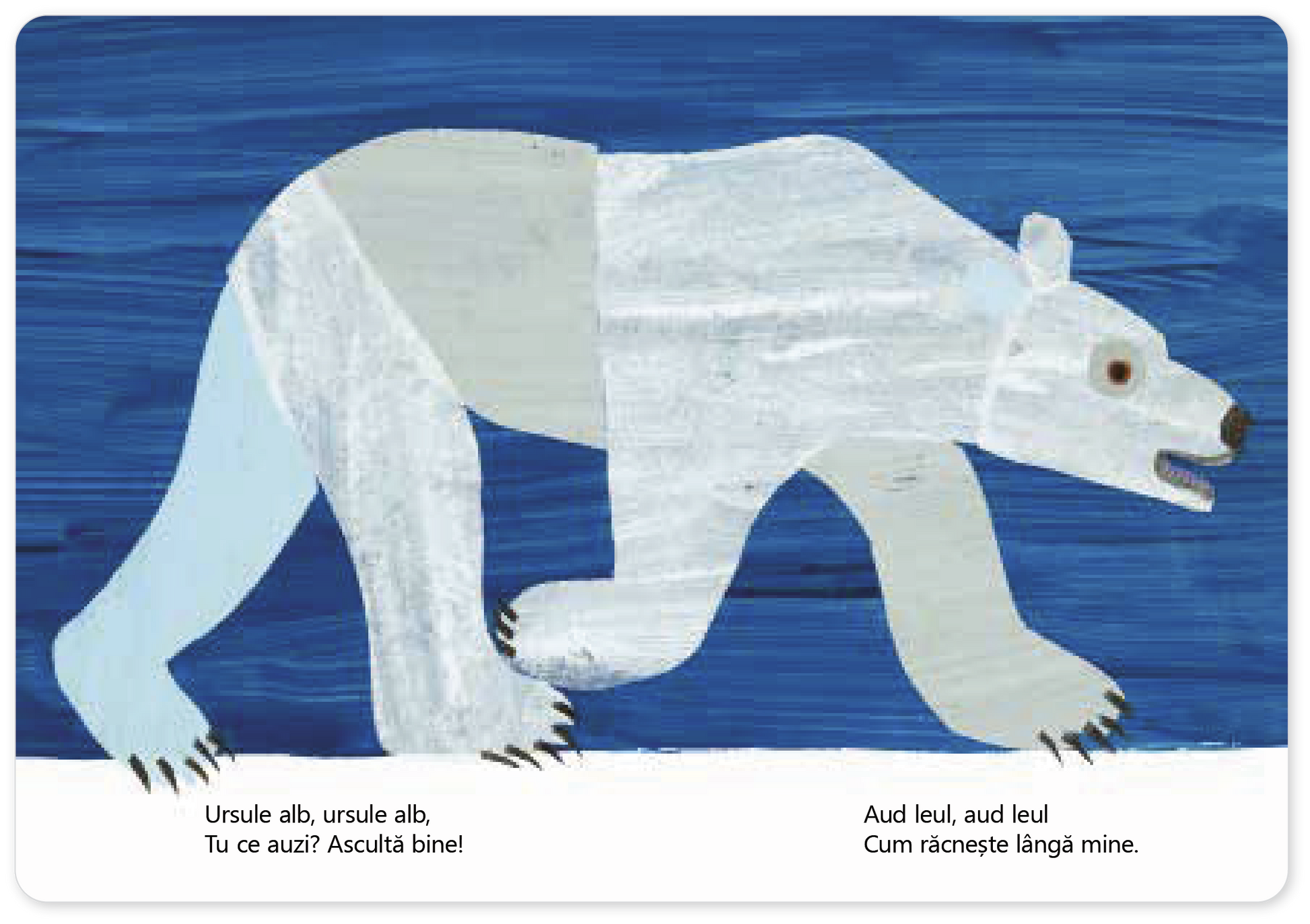 Ursule alb, ursule alb, tu ce auzi?