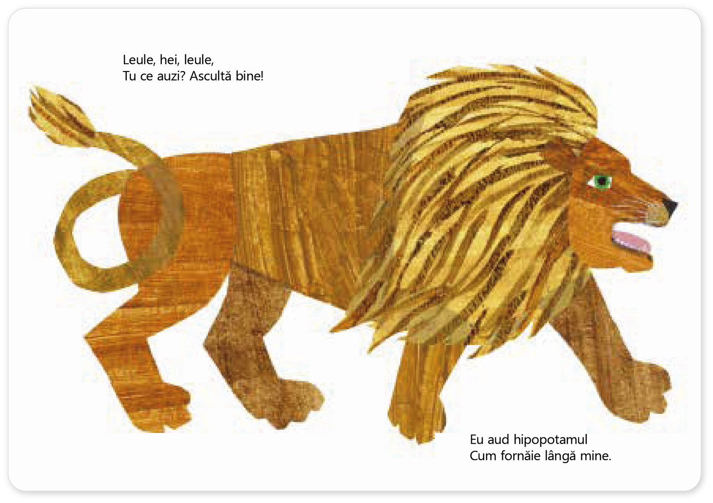 Ursule alb, ursule alb, tu ce auzi?