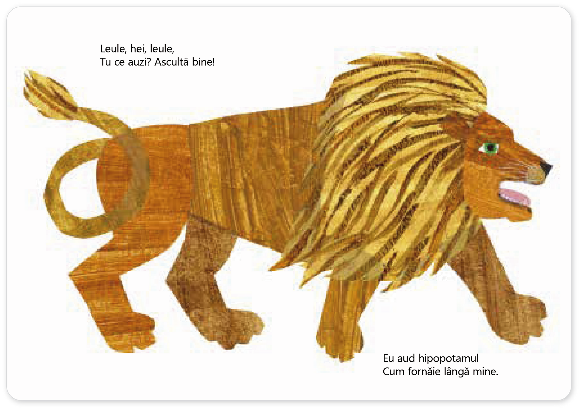 Ursule alb, ursule alb, tu ce auzi?