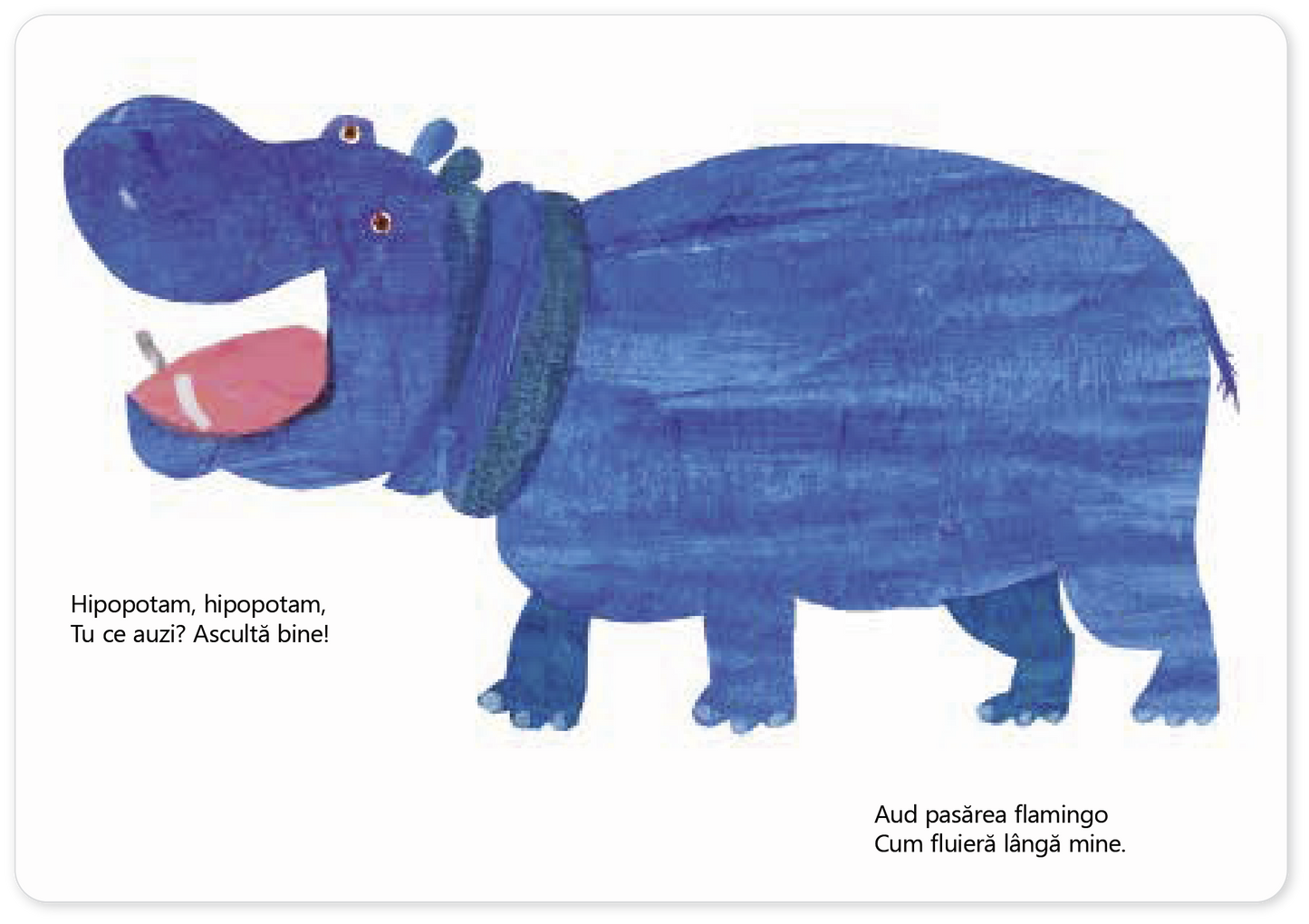 Ursule alb, ursule alb, tu ce auzi?