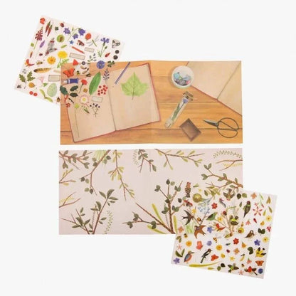 Abțibilduri de transfer Botanist – Moulin Roty