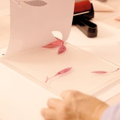 Atelier creativ 46 pentru adulți – Imprimare pe gel, Djeco