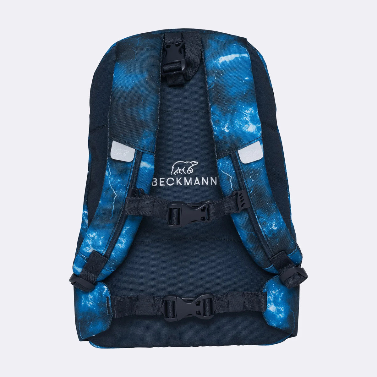 Rucsac Beckmann de zi (antrenamente, excursii, parc), Tech Rex