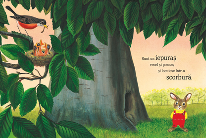 Sunt un iepuraș -  de Richard Scarry