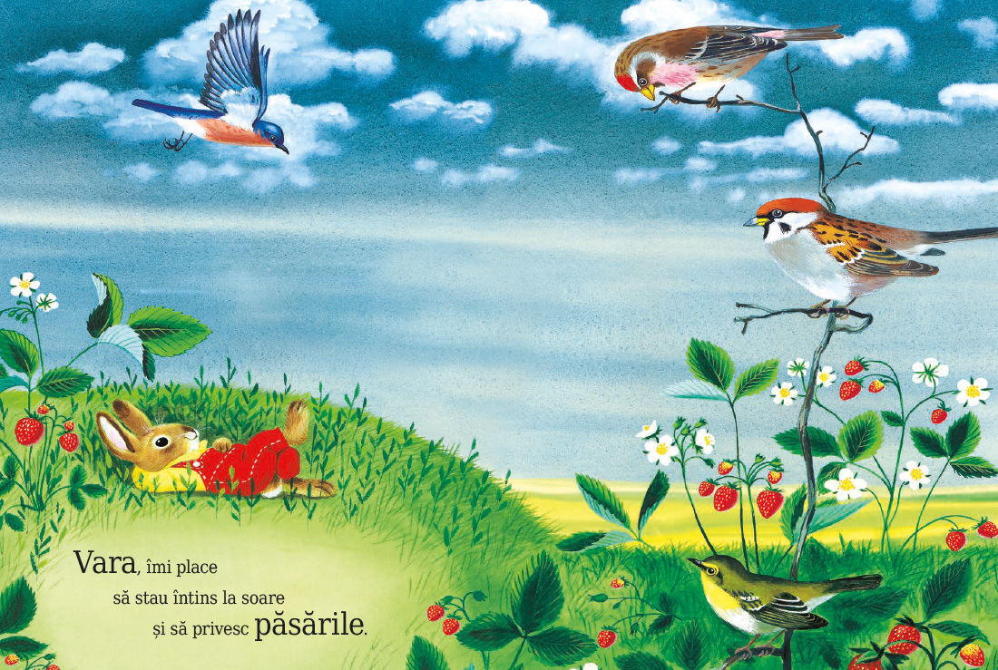 Sunt un iepuraș -  de Richard Scarry