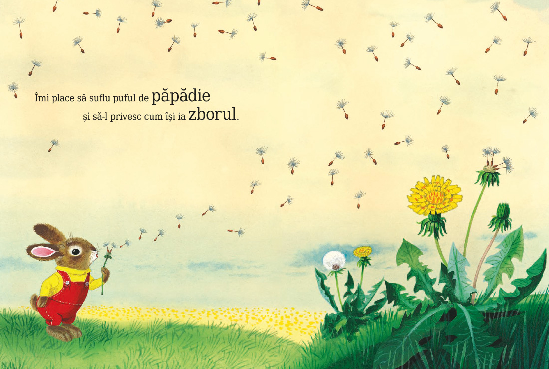 Sunt un iepuraș -  de Richard Scarry