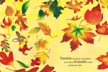 Sunt un iepuraș -  de Richard Scarry