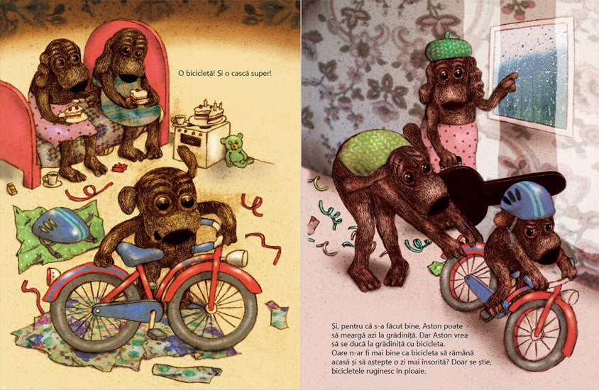 Cadourile lui Aston - de Lotta Geffenblad