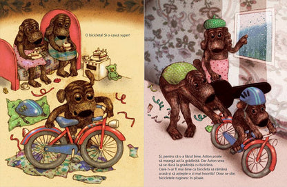 Cadourile lui Aston - de Lotta Geffenblad