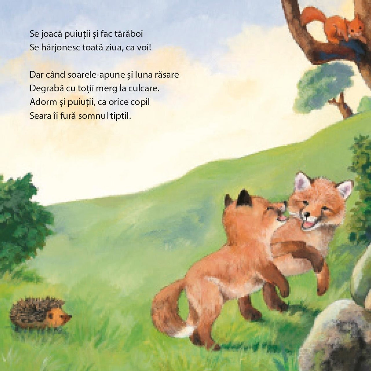 Când animăluțele sunt obosite