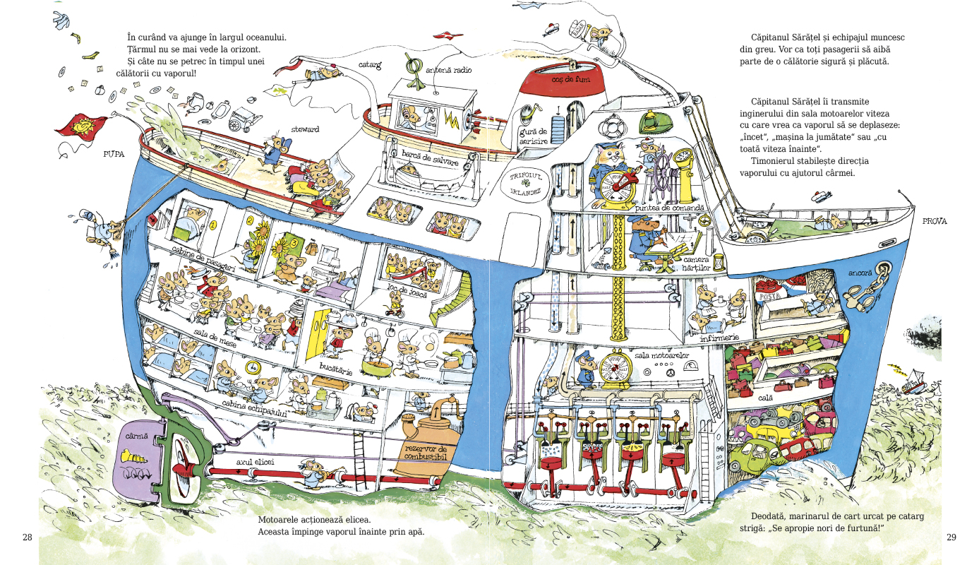 Ce face lumea toată ziua?