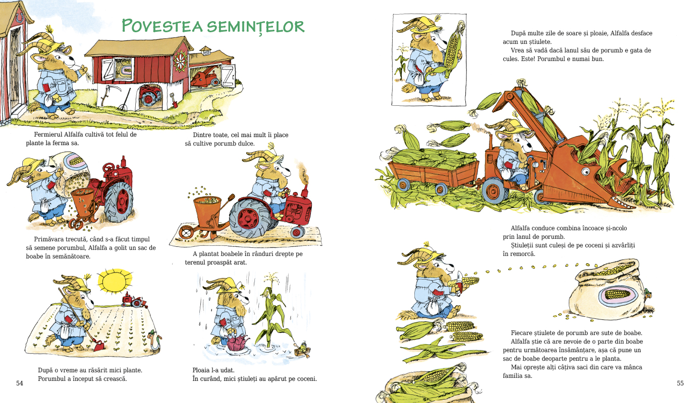 Ce face lumea toată ziua?