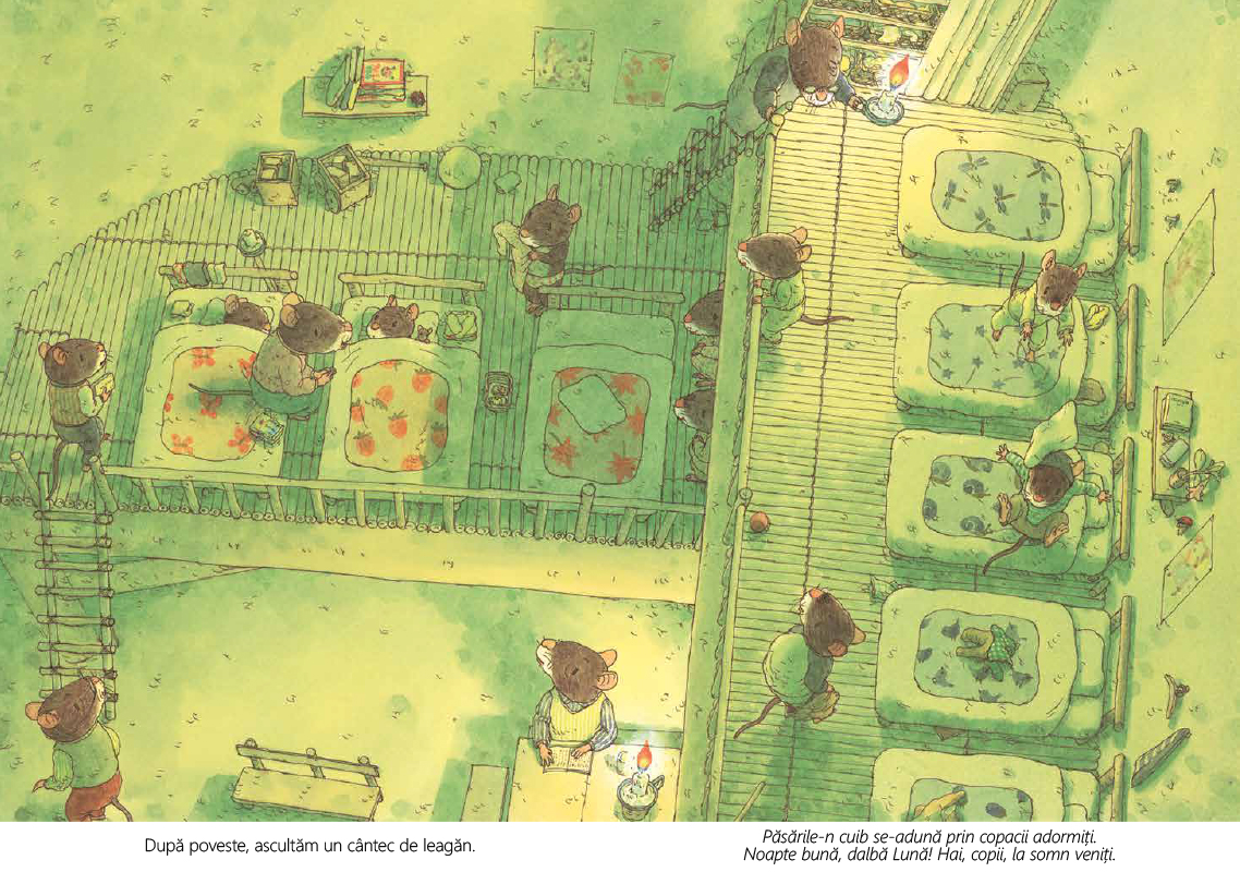 Familia Soricel merge la culcare