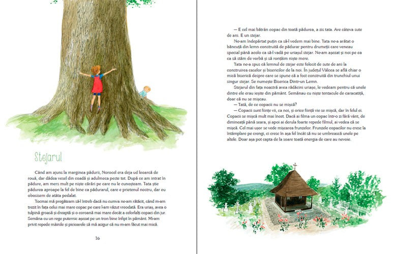 Luli și căsuța din copac - de Iulia Iordan, cu ilustrații de Cristiana Radu