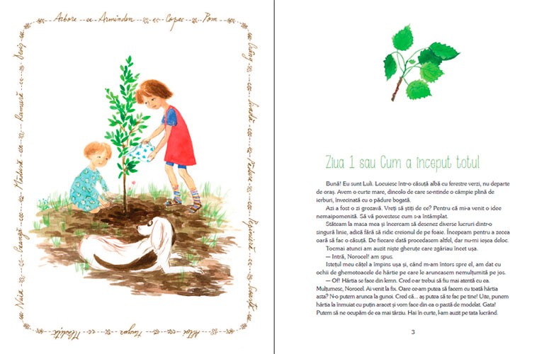 Luli și căsuța din copac - de Iulia Iordan, cu ilustrații de Cristiana Radu