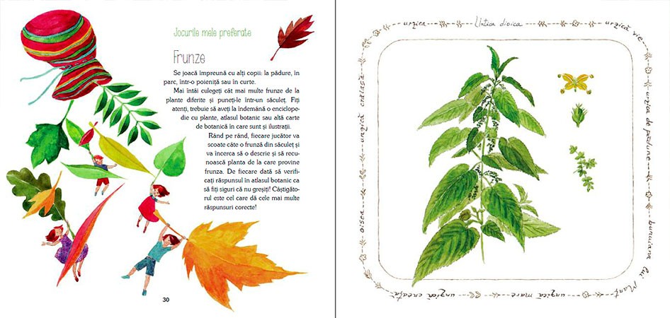 Călătorie printre ierburi și lumină